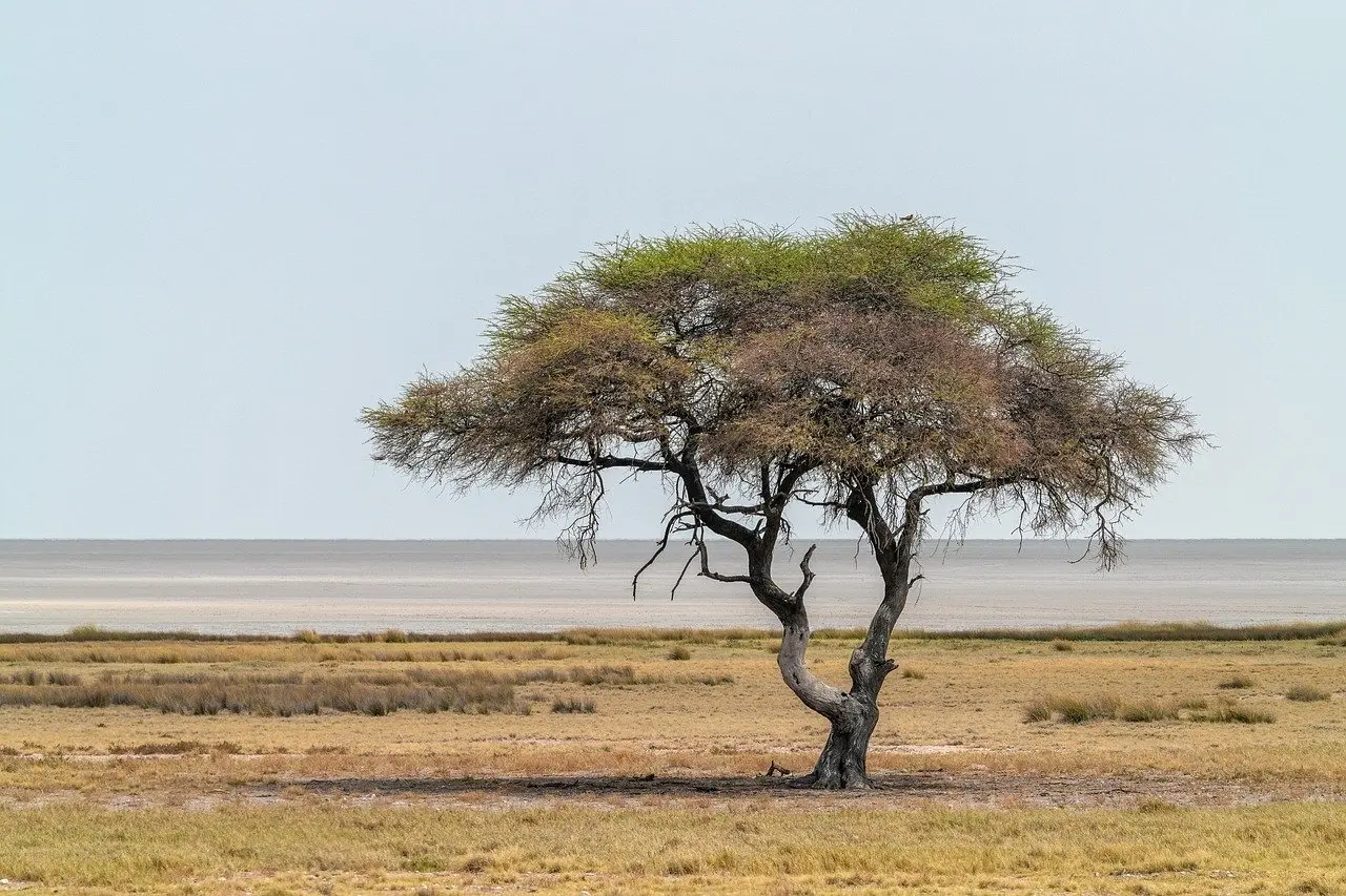 12 idéer til bordpynt i trylledej til efterårsfesten