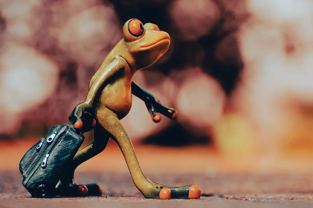 9 farvekombinationer, der løfter trylledej